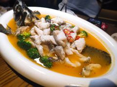 -新悦·霞浦海鲜生(上下杭店)