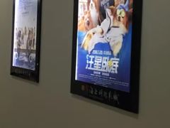 -AMG海上明珠影城(上海环球港RealDCinema店)