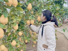 -南通洲际绿博园