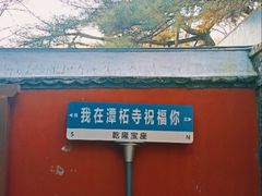 -潭柘寺景区