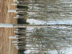 -东升八家郊野公园