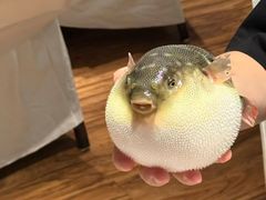 -永安鱼庄·镇江菜(东吴路店)