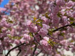 -永定河休闲森林公园