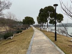 -羊山湖公园