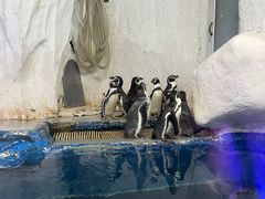 -太平洋海底世界