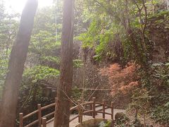 -火炉山森林公园