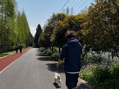 -上海长兴岛郊野公园