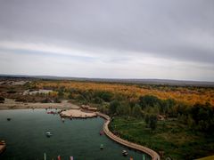 -金塔沙漠胡杨林景区