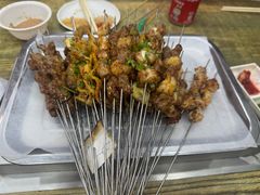 -海波肉串(金顶山大街店)