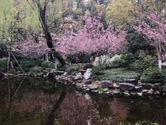 -墅园