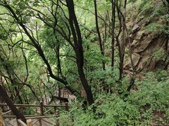 -大岭沟猕猴桃谷风景区
