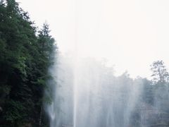 -黎坪国家森林公园