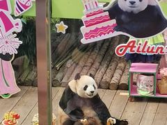 -大连森林动物园