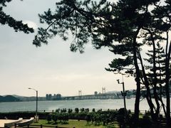 -海云台海滩