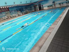 -奇缘游泳培训基地(辰茂店)