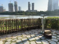 -华侨城湿地公园