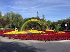 -大兴滨河森林公园