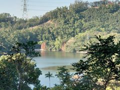 -深圳仙湖植物园