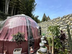 -紫藤园·天目湖大鱼头(南山竹海店)