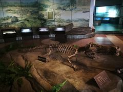 -自贡恐龙博物馆