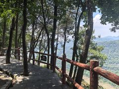 -铁山坪森林公园