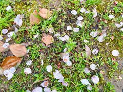 -苏州河梦清园环保主题公园