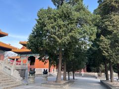 -历代帝王庙博物馆