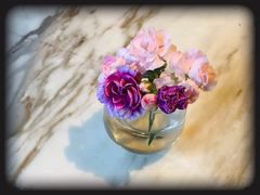 景观位-the rug 飞毯 (朝阳公园店)