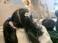 -上海大自然野生昆虫馆(东方明珠·爬宠昆虫探索中心)