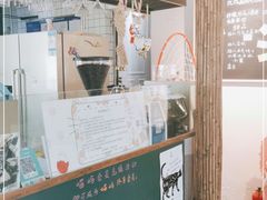 -喵屿·大理花园猫咖