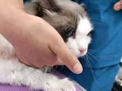 -嘉馨宠物医院·CT影像转诊·心脏科·犬猫全科诊疗中心(下沙大学城院区)