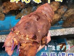 -欧记·龙城港(欣都龙城店)