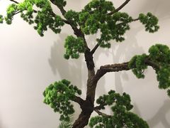 -苏小柳手作点心(控江旭辉分院)