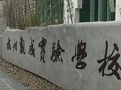 -杭州观成实验学校