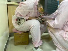 -全心全意连锁动物医院·微创中心·内科急重症·心脏专科(丰管路店)
