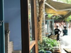 -喵屿·大理花园猫咖