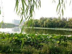 -朝阳公园游乐园