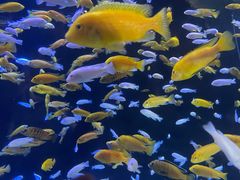 -成都浩海立方海洋公园