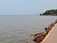 -深圳湾公园(南山区)