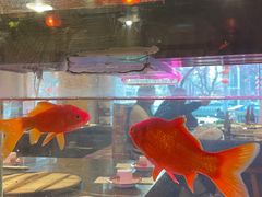 -粗粮人家·东北菜(洋桥店)