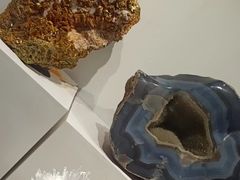 -重庆自然博物馆(新馆)