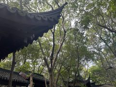 -上海佘山国家森林公园天马山园