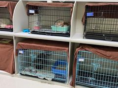 -瑞鹏宠物医院·骨科·猫科·内科(第一中心)