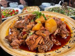 -青城甲(青城山店)