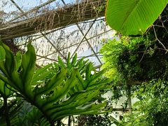 -呀路古热带植物园
