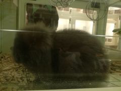 -龙猫仔乐园(惠福东路店)