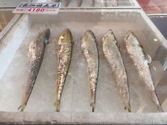 -莆鑫海鲜城(浏河店)