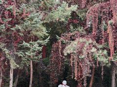 -六鼎山文化旅游区