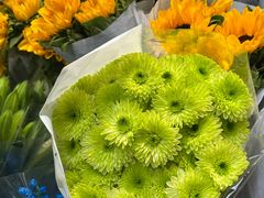 -循礼门鲜花花市(武汉循礼门店)