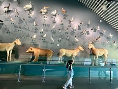 -中国湿地博物馆